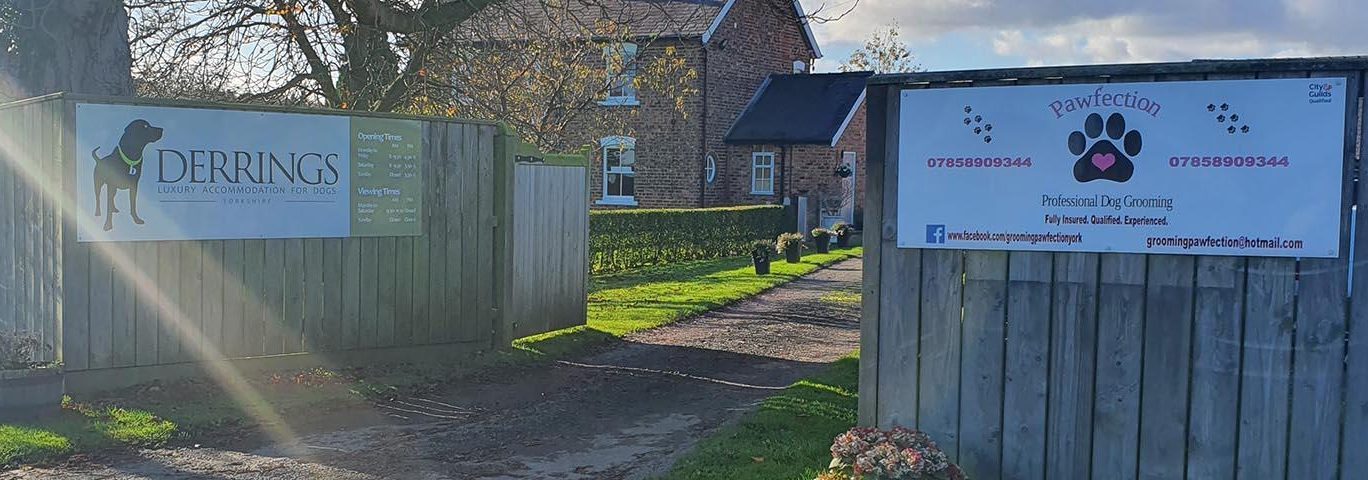 Derrings Boarding Kennels, nr Harrogate, North Yorkshire